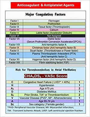 617M5OEMHcL._SX384_BO1,204,203,200_